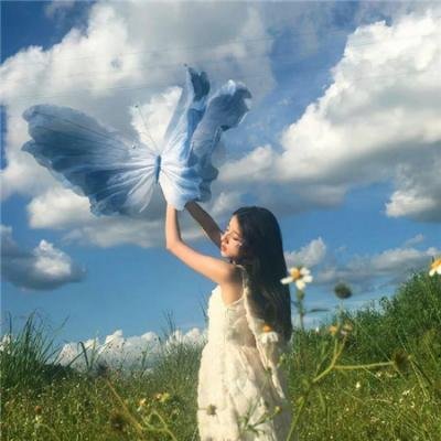 新蝶恋花 海报